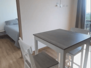 APARTAMENTO AMUEBLADO EN ALQUILER EN ZONA 2 - 4