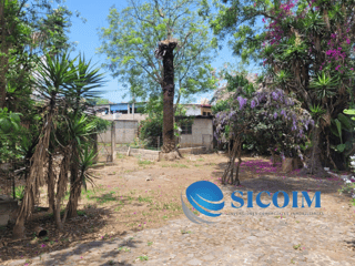 Finca for Sale in Antigua Guatemala - Image 10