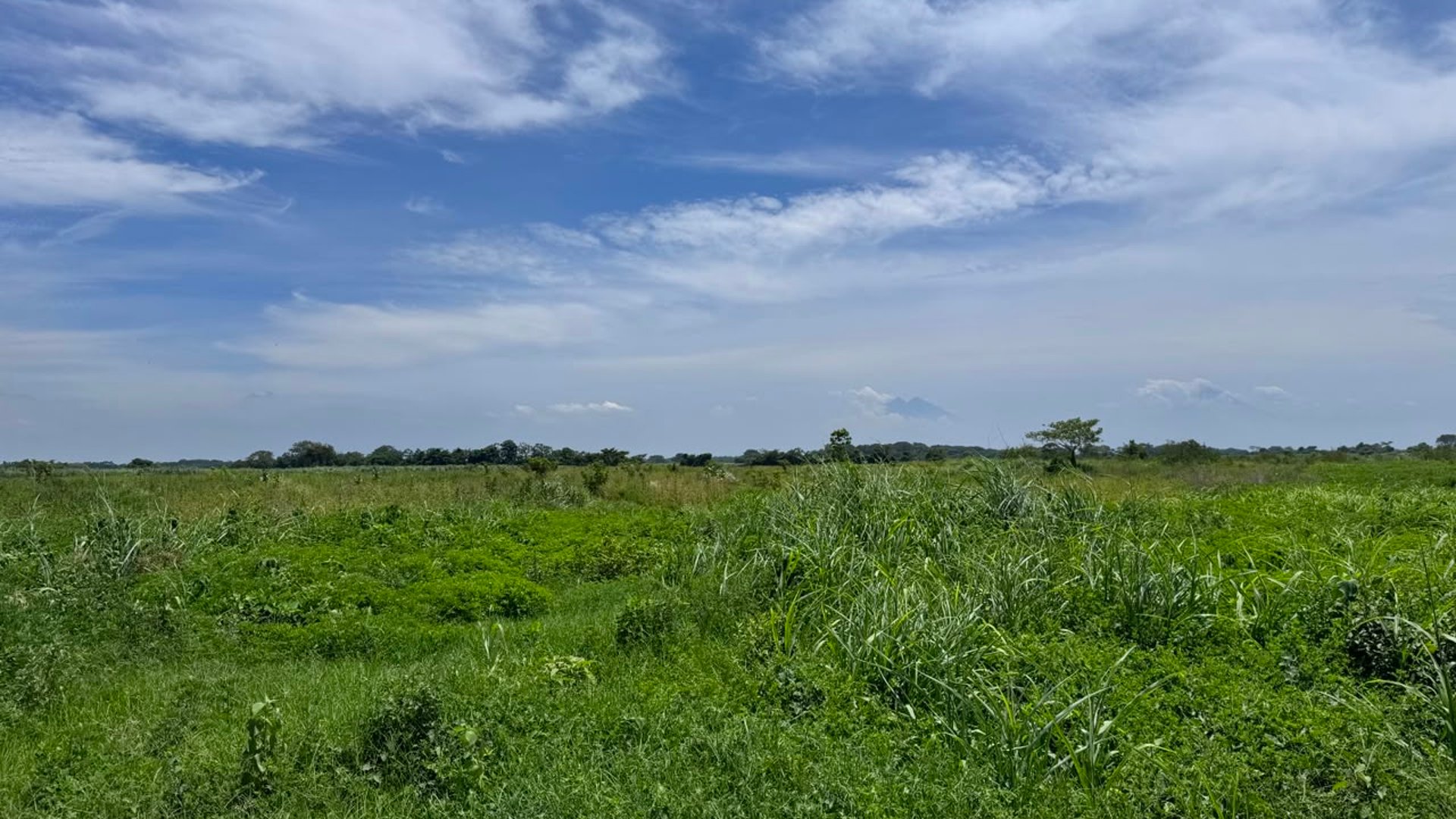 ???? TERRENOS INDUSTRIALES EN VENTA –16,762.82 | KM. 98 | PTO. SAN JOSE - Miniatura 8