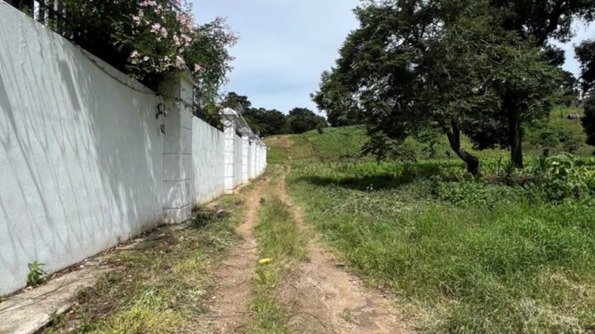 Terreno 12 Manzanas en Venta Carretera a El Salvador - Miniatura 4