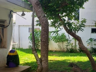 Venta de casa Ideal Desarrollador en el Zapote zona 2 Ref-4917 - 2