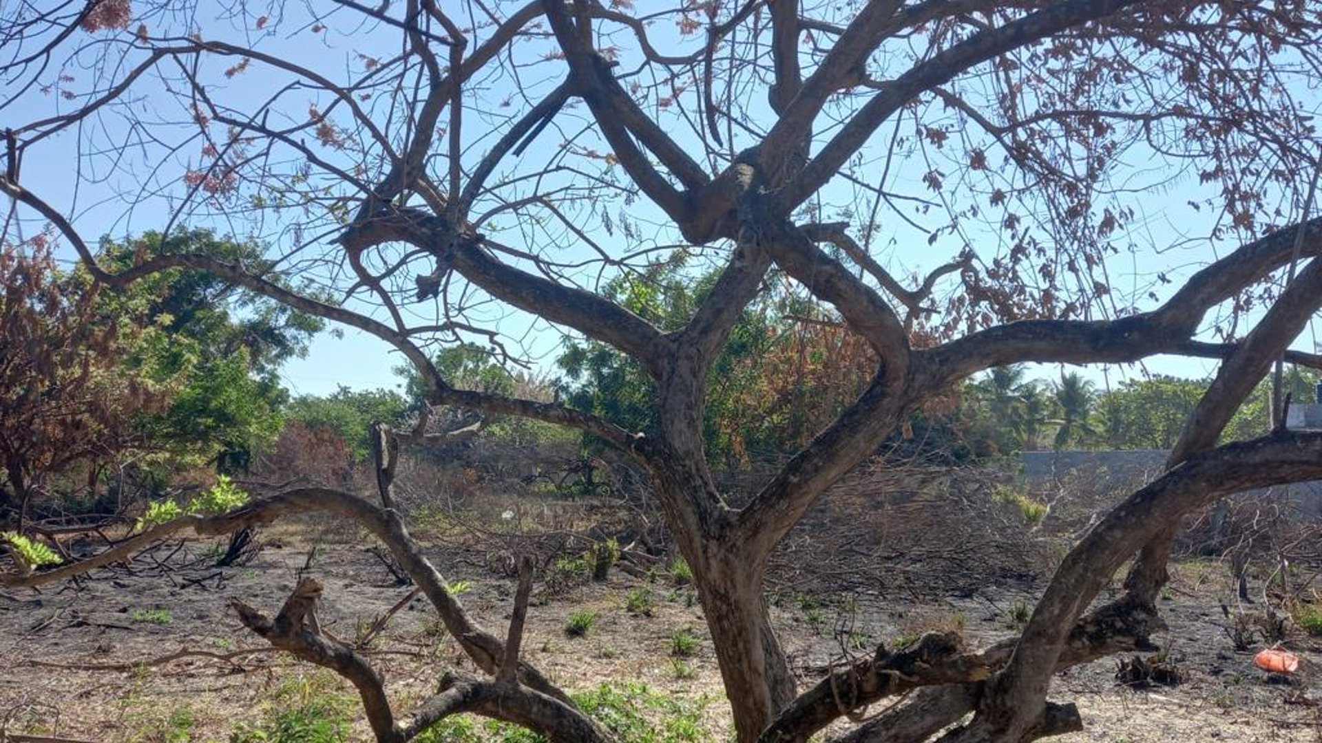 Terreno en venta camino a Monterrico - Miniatura 11