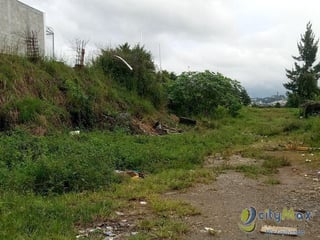 Vendo Terreno de 7,250vrs² adelante de Ciudad Peronia - Image 6