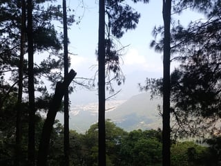 OPORTUNIDAD DE INVERSIÓN EN ALDEA EL HATO, ANTIGUA GUATEMAL - 2