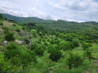 FINCA EN VENTA – SAN CRISTÓBAL ACASAGUASTLÁN, EL PROGRESO - 5
