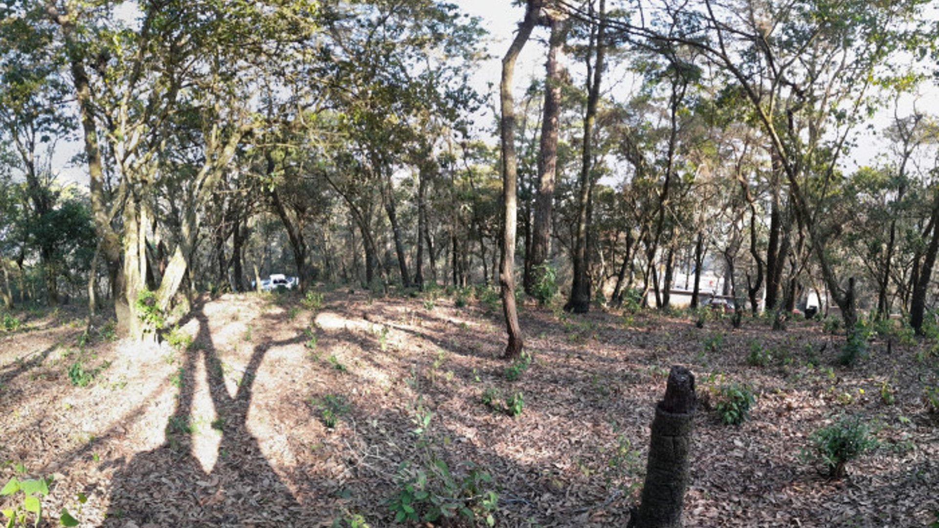 Terreno en Venta en El Encinal Zona 7 Mixco - Miniatura 4