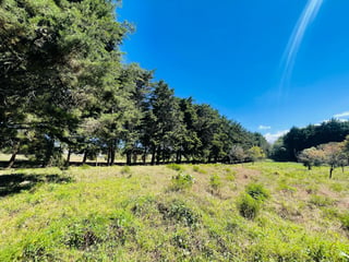 VENTA DE AMPLIO TERRENO - PREMIERE CAMPESTRE, KM 22.5 CES - 2