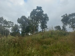 Terreno Comercial área San Pedro Ayampuc - 5