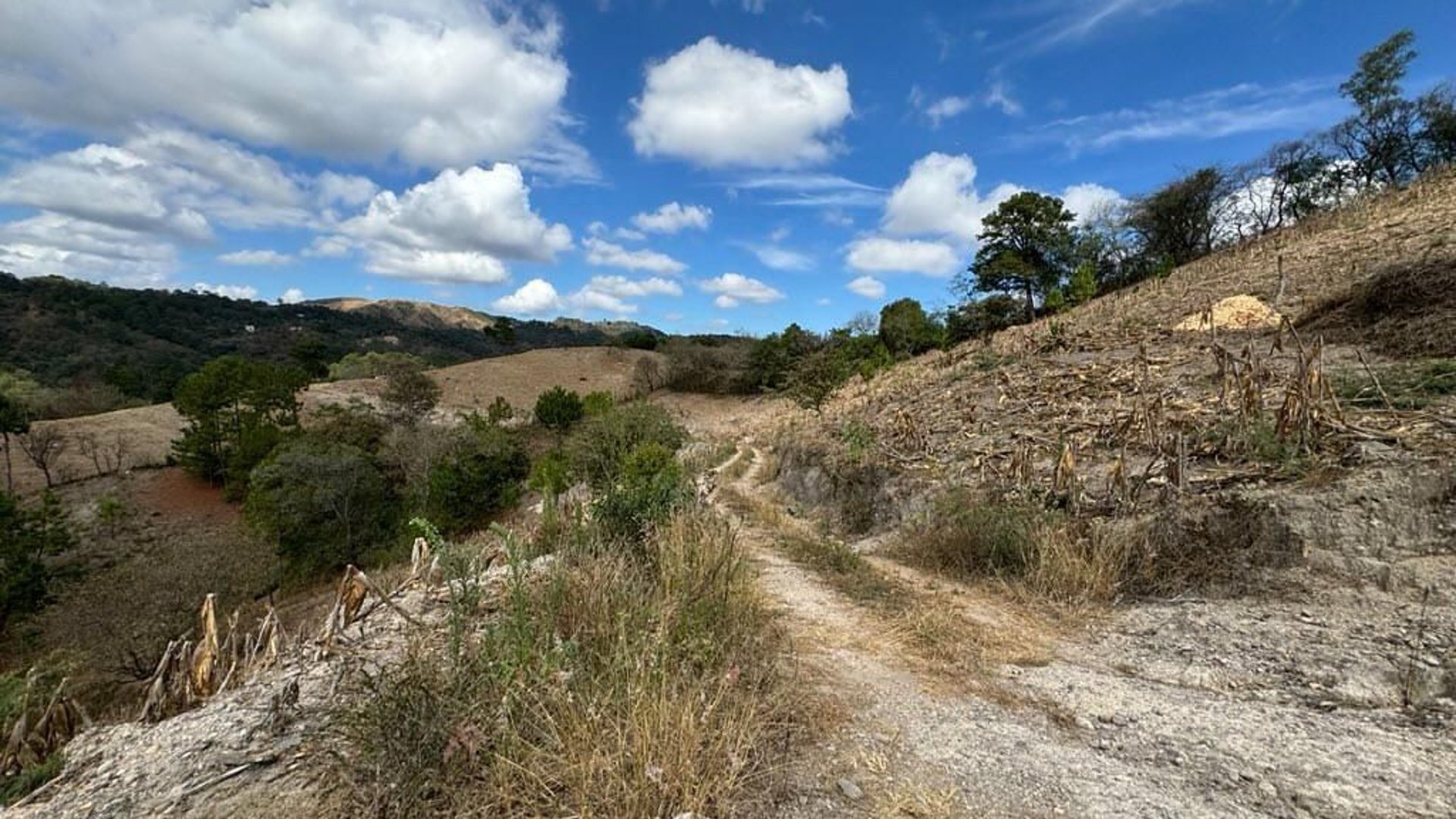 SAN PEDRO AYAMPUC/ FINCA EN VENTA PARA DESARROLLO - Miniatura 10