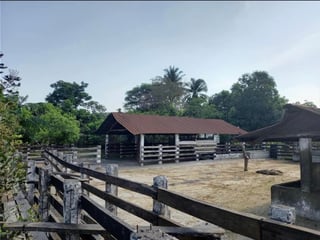 24 manzanas a la venta, Cuyuta Mazagua Escuintla.  - Image 5