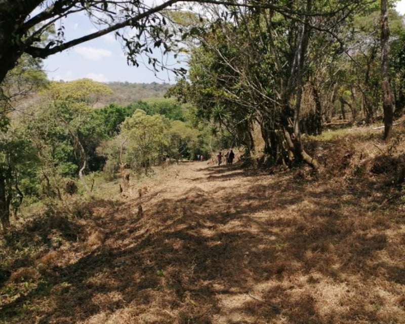 Terreno 7 manzanas km 26.5 a Santa Elena Barillas