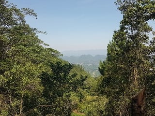 Terreno en Venta en Santa Cruz Verapaz, Alta Verapaz - 3