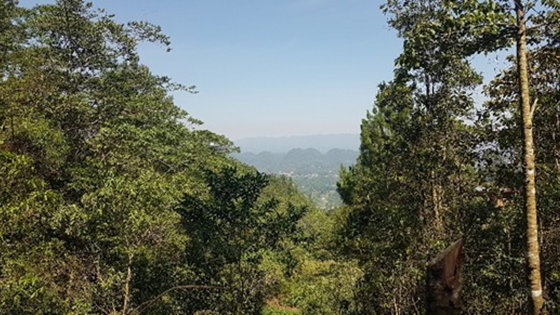 Terreno en Venta en Santa Cruz Verapaz, Alta Verapaz - Miniatura 3