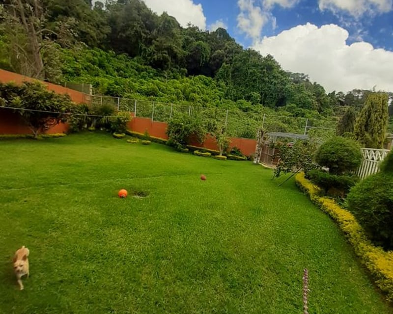 Casa en renta, en Carretera al salvador