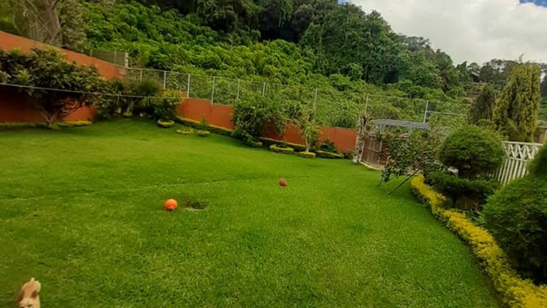 Casa en renta, en Carretera al salvador