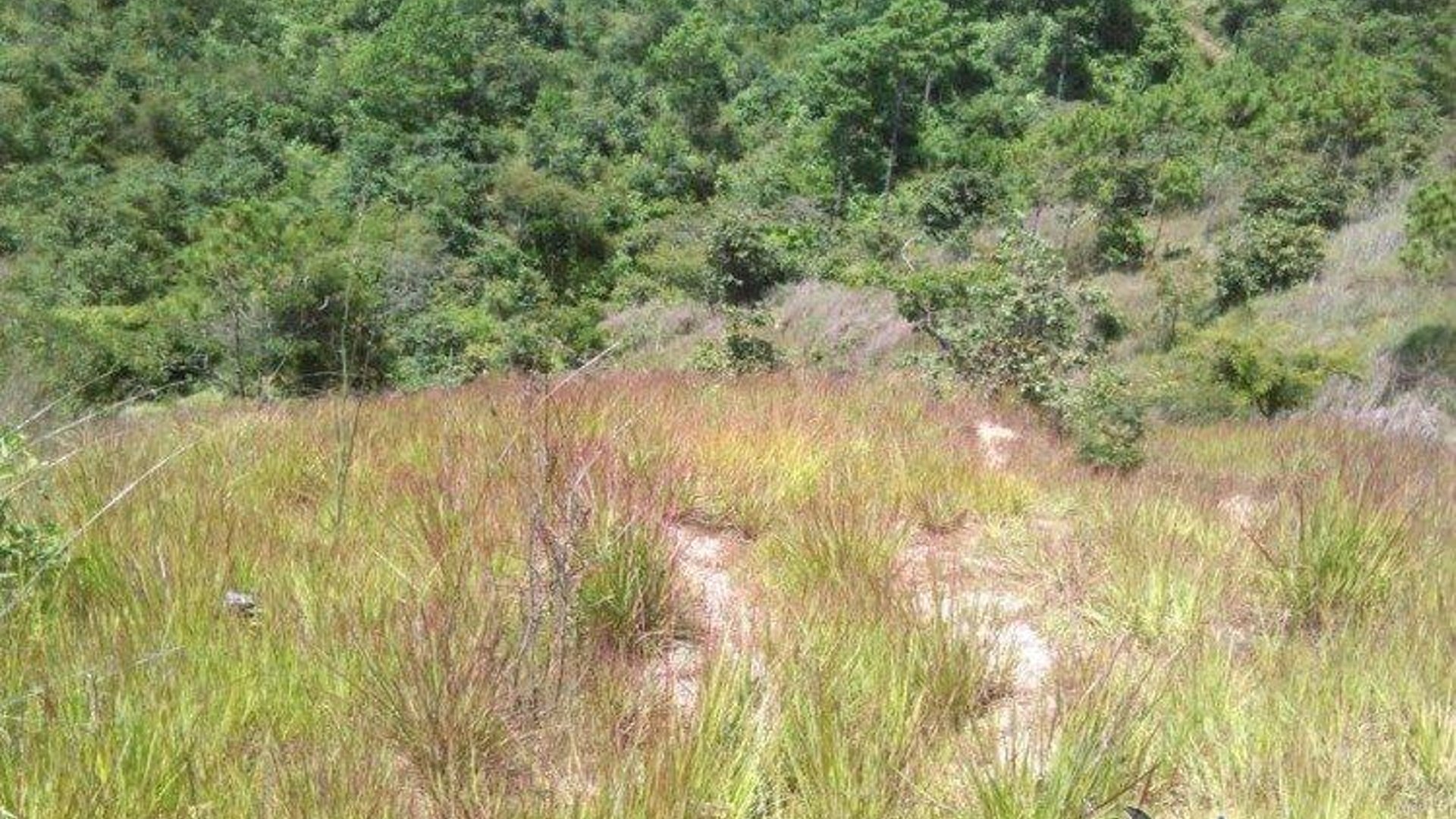 Vendo terreno en San Pedro Sacatepéquez - Miniatura 6
