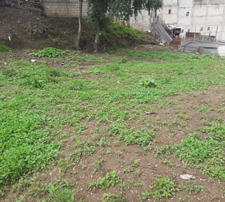Land for Sale in San Juan del Obispo, Guatemala - 189.5 m², Semi-flat Terrain - $127,000