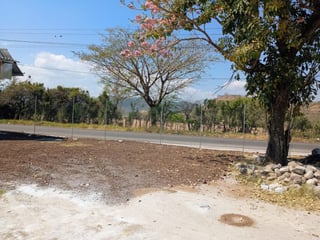 Terreno en Venta y Renta, Monjas Jalapa - 5