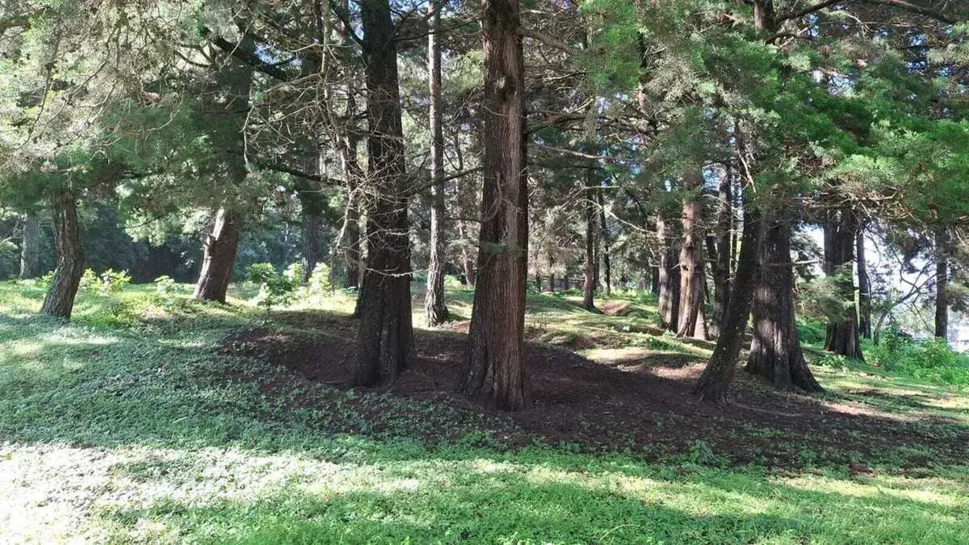 TERRENO EN VENTA – SANTA CATARINA PINULA - Miniatura 6