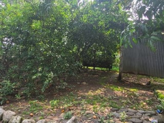 Renta de Terreno Comercial - 5