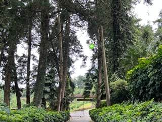 Land for Sale in Parramos, Guatemala | 781m², Mustang Ranch, Utilities Included | $79,000 - 4