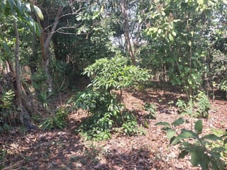 Terreno en venta, en Villa Canales - 5