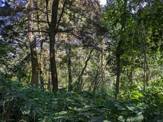 SAN LUCAS / TERRENO EN VENTA - Image 2