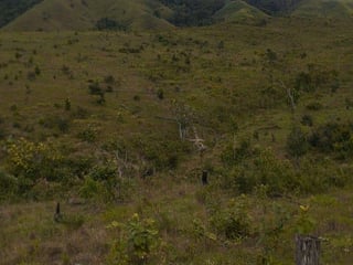 FINCA PROPIEDAD FORESTAL Y DE CONSERVACIÓN EN PETÉN - 4