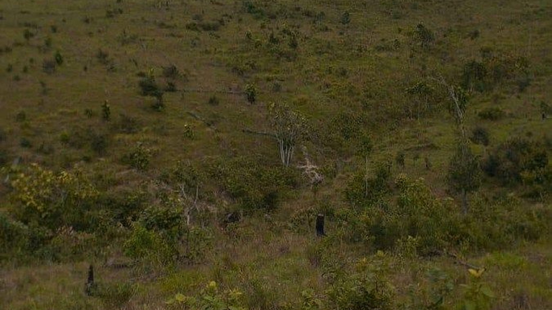 FINCA PROPIEDAD FORESTAL Y DE CONSERVACIÓN EN PETÉN - Miniatura 4