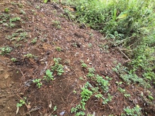 Terreno Residencial en Venta Carretera a El Salvador - 3