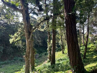 Terreno a la venta Santa Rosalía, km 12.5 CAES - 5