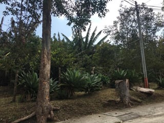 Terreno de 7338 mts2 en venta en Santa Rosalia - 3
