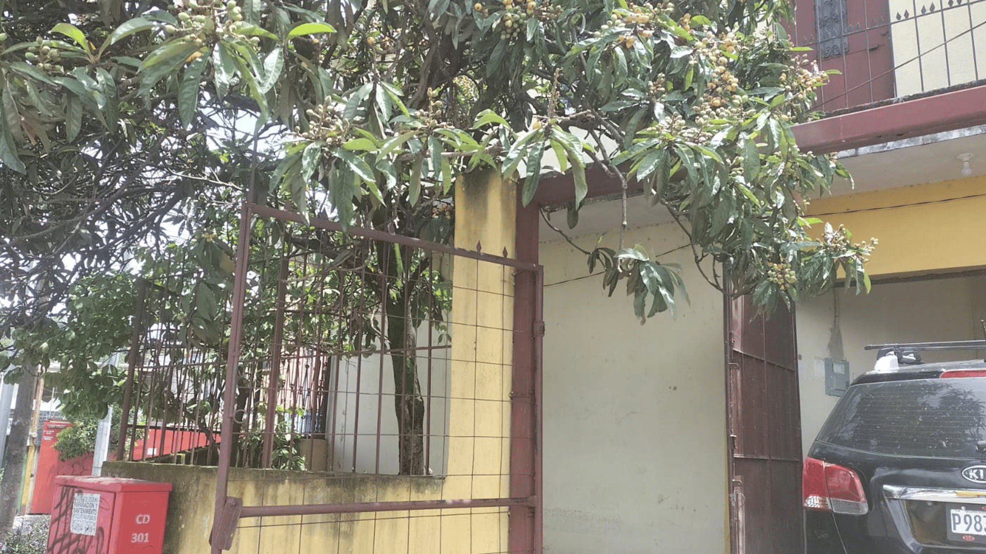 Casa en Venta en Colonia Lavarreda, zona 18 - Miniatura 11