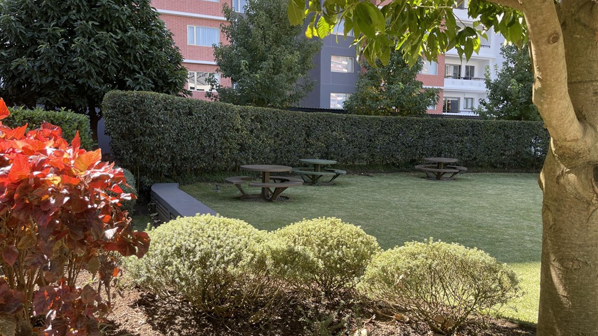 Apartamentos nuevos de lujo en Seghería - Miniatura 43