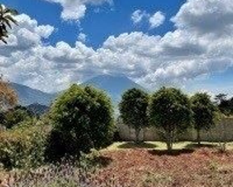 ANTIGUA /Terreno en Venta el Hato