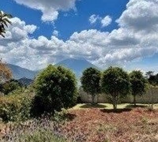 ANTIGUA /Terreno en Venta el Hato