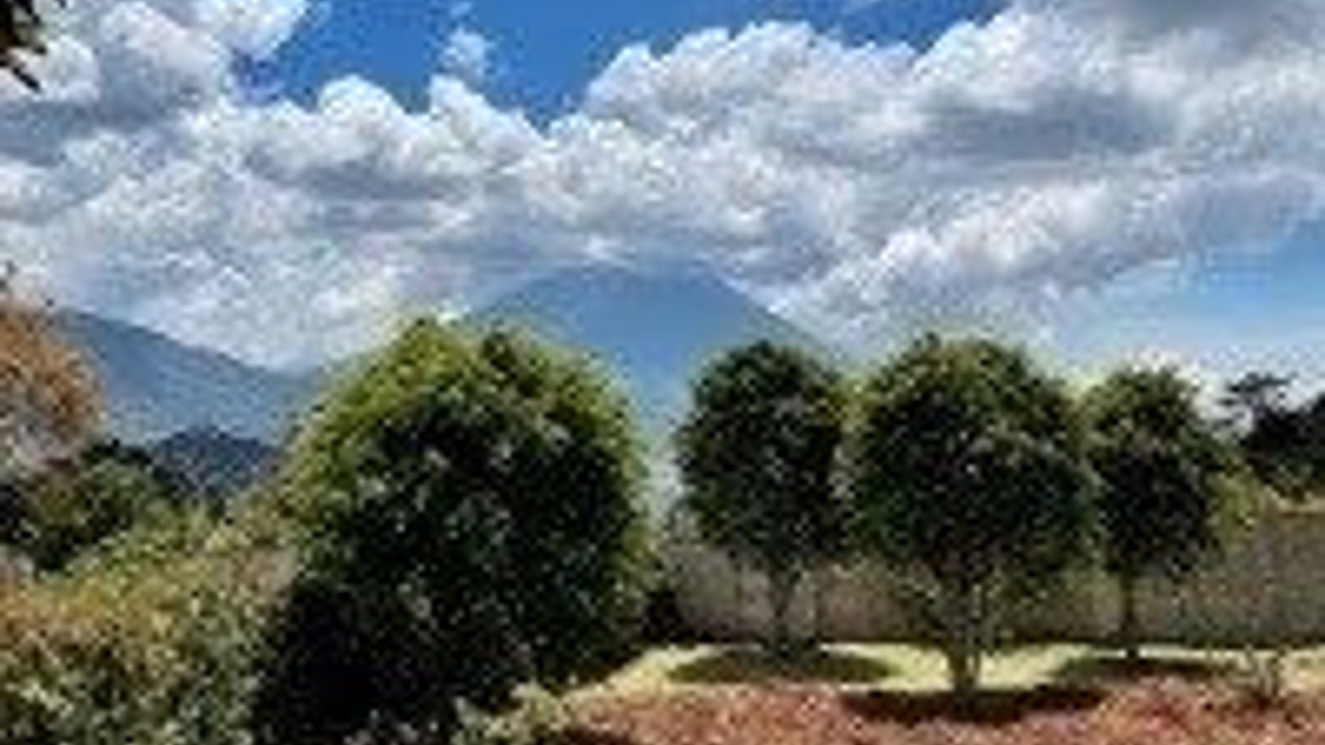 ANTIGUA /Terreno en Venta el Hato