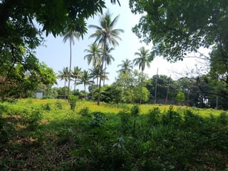 En Venta finca +40Mil Varas en el Km. 78 Ruta CA-2 - 3