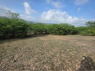 22 Manzanas en venta en El Rancho, El Progreso  - 2
