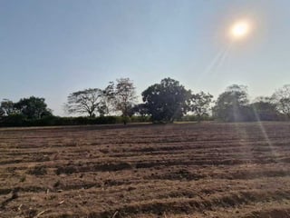 Terreno en Venta  Carretera Antigua Puerto  San José - Image 5