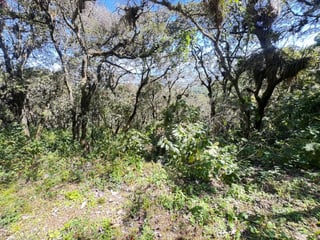 Terreno Residencial en Venta en Zona 1, Mixco, Guatemala - 3