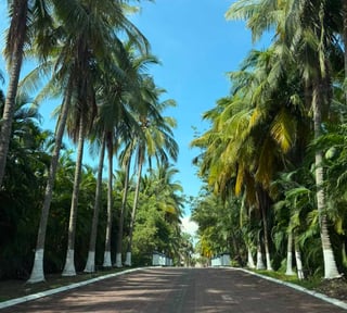SEA SIDE TERRENO GRANDE EN VENTA