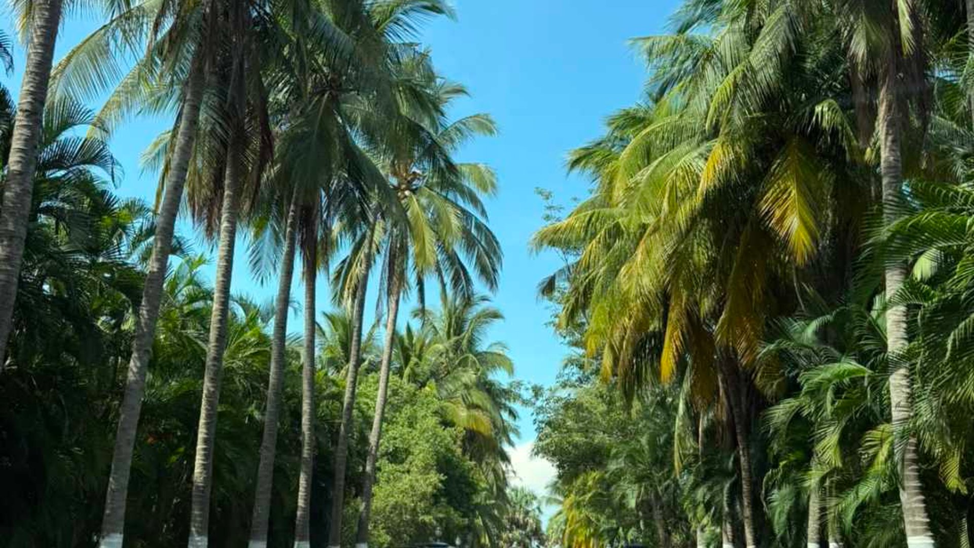 SEA SIDE TERRENO GRANDE EN VENTA