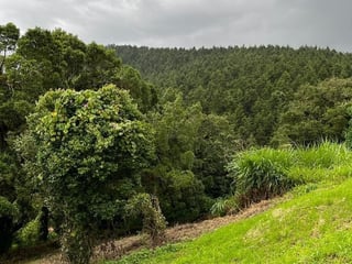 TERRAVISTA/ Terreno en Venta, CES - 2