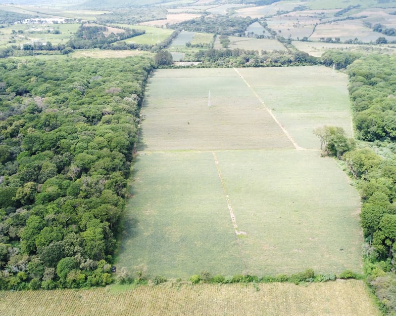 Finca de 17 Manzanas Planas en Venta en CAES Jocotillo