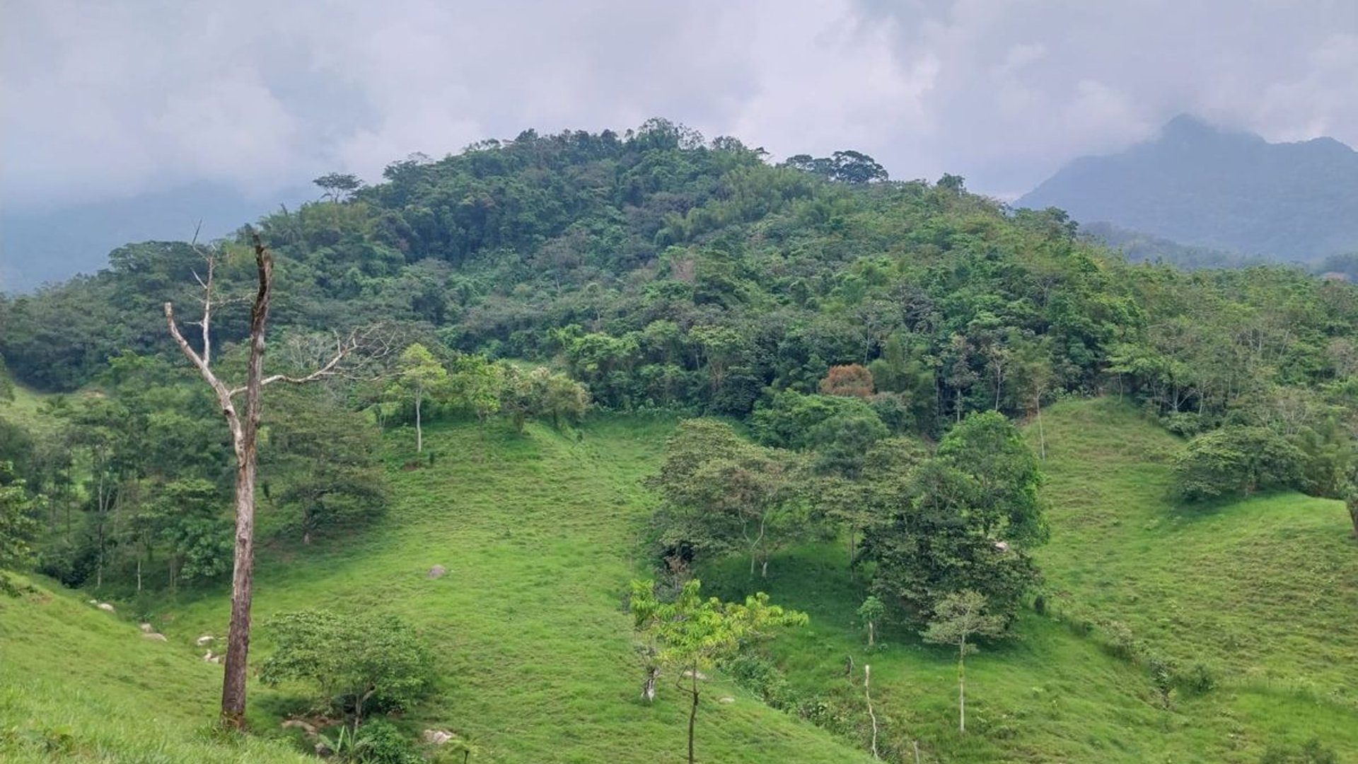 Finca en VENTA de 2 caballerías en Chicacao, Suchitepéquez - Miniatura 17