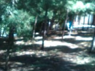 Terreno en Venta en Km 24 Rumbo a Fraijanes - 5
