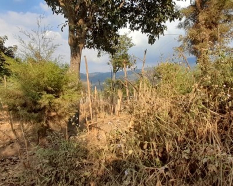 Citymax vende Finca Rustica en San Pedro las Huertas