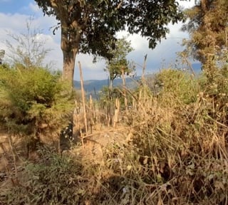 Citymax vende Finca Rustica en San Pedro las Huertas