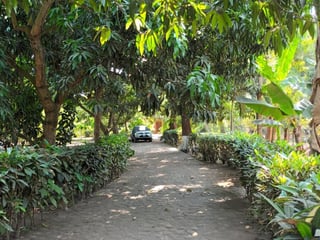 Granja en renta en Km. 102 Puerto de San José - Image 8